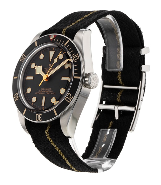 Tudor Black Bay 58 M79030N-0003